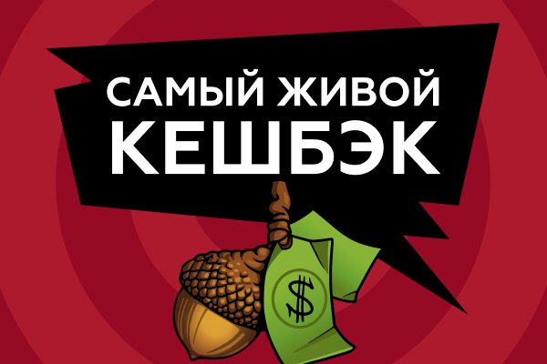 Не могу зайти на кракен