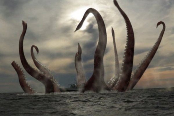 Kraken 24at