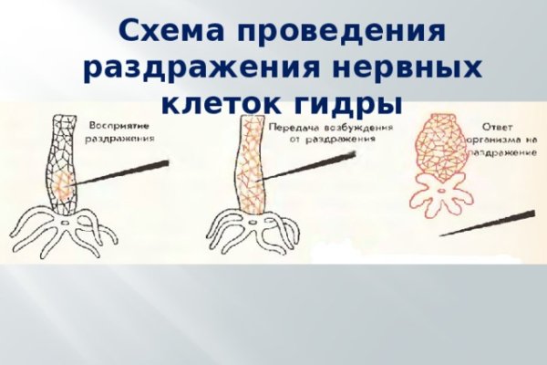 Kraken актуальные зеркала krakentor site