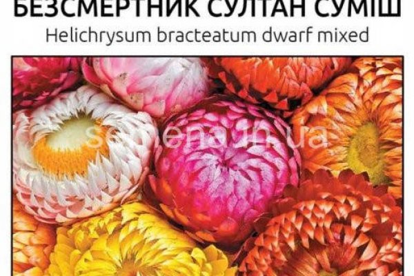 Как зайти в кракен