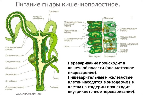 Ссылка на сайт кракен в тор браузере