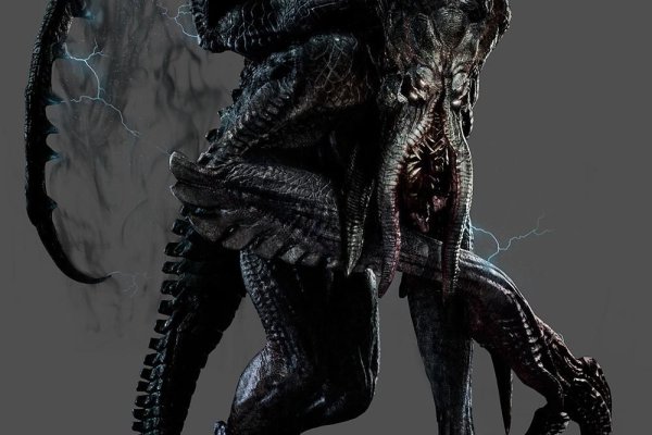 Kraken17at