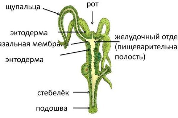 Покупки на кракене супернет